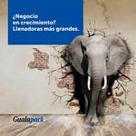 Amplía tus máquinas de llenado de pouches: con nuestro equipo de alto volumen. 
